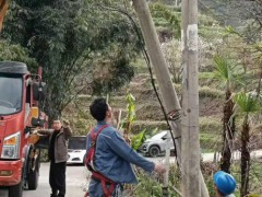 租赁一台大型随车吊，其运输车辆的通行路线如何提前规划？