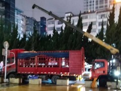 吊装设备时，对随车吊起升和下放的速度有怎样的精度要求？