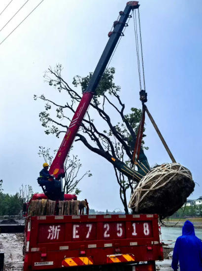 德清吊车出租公司，如何从执照判断其正规性？