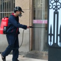 家庭完成灭鼠处理后，为何必须坚持定期检查与环境预防？