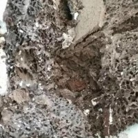 解析河源低楼层住宅相较于高层更易遭遇白蚁侵扰的主要原因！