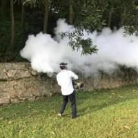 探析工厂全场域消杀重点针对的几类常见隐蔽性有害生物！