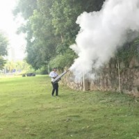 探究导致木质家具内部蛀空的主要害虫类型及其活动特征！