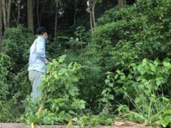 论河源地区白蚁防治的长期策略:从一劳永逸到持续管理! 论河源地区白蚁防治的长期策略:从一劳永逸到持续管理!