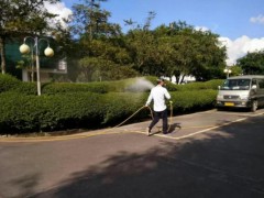 商铺夜间闭店后系统化防鼠策略:从切断源头到堵住通道! 商铺夜间闭店后系统化防鼠策略:从切断源头到堵住通道!