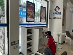 绿植净化，兼具美观与除醛的温和辅助法