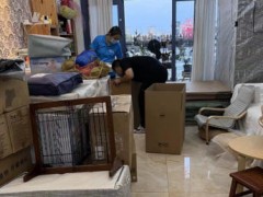 从办公室绿植到文件柜，凯里企业搬迁物品分类管理建议！