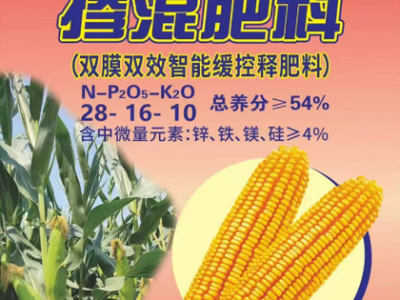 天津市嘉禾复合肥厂：含锌复合肥为什么更适合玉米种植？