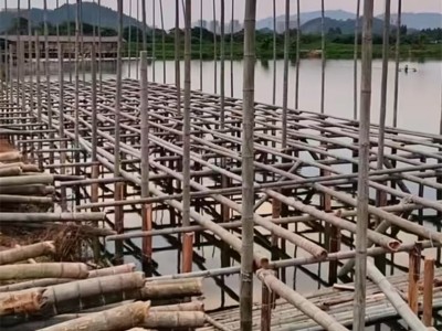 柳州养殖场棚搭建 养殖设施建设要点