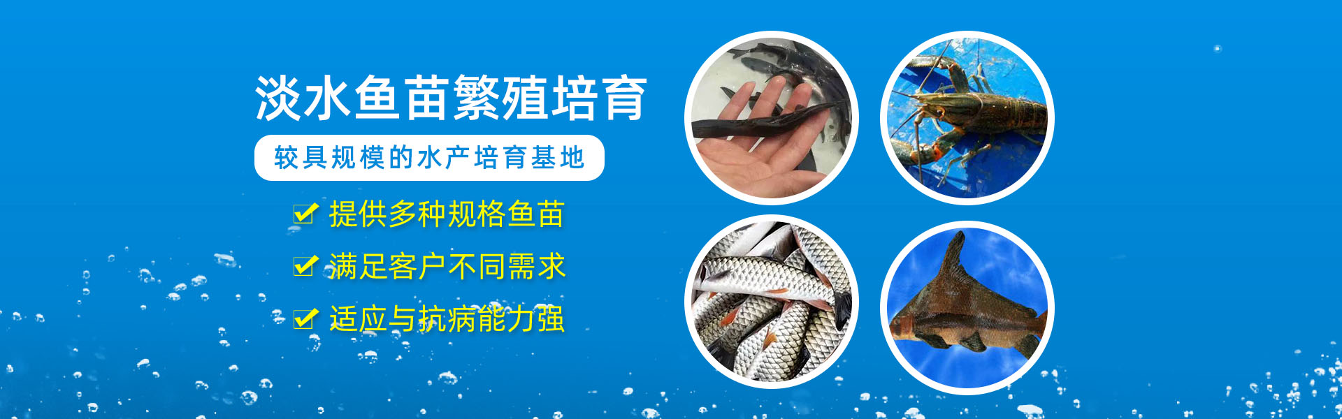 博罗县湖镇特种鱼苗繁殖场