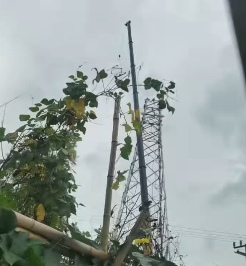 大型设备吊装方案推荐，您的项目预算够了吗？