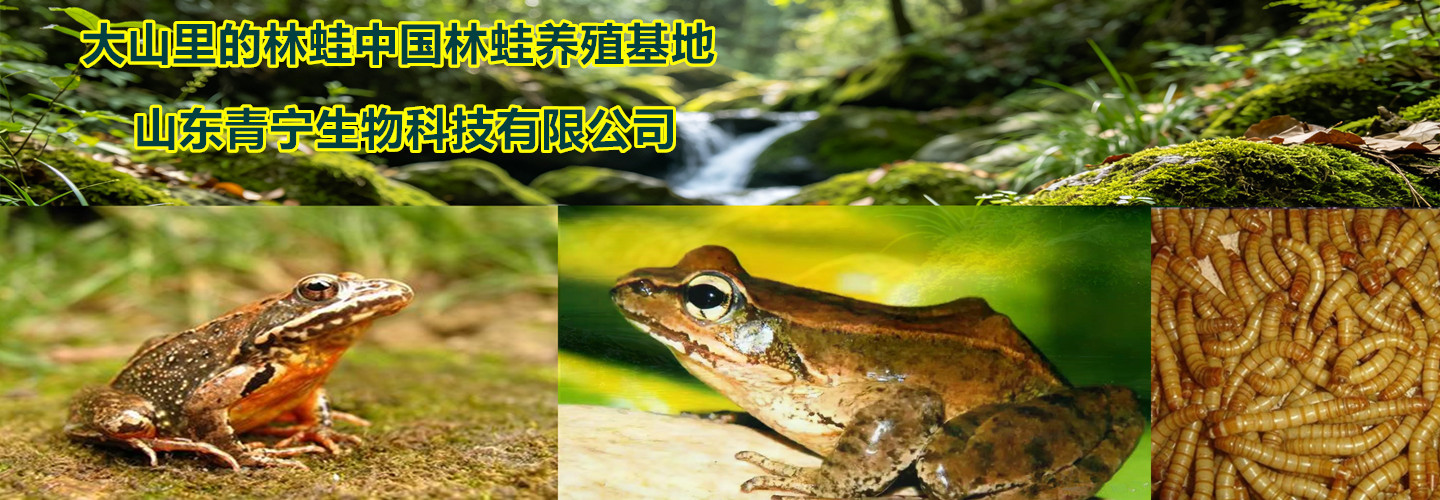 山东青宁生物科技有限公司