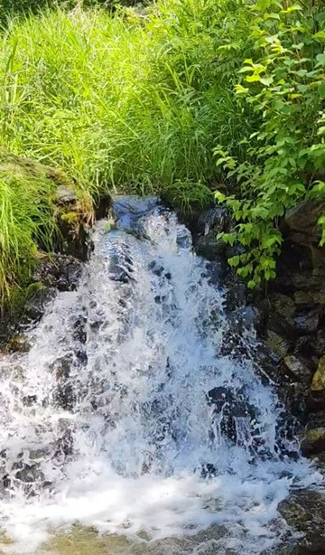 林蛙养殖基地