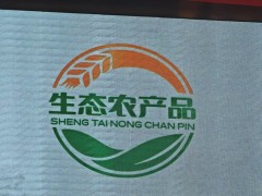 林蛙产品系列