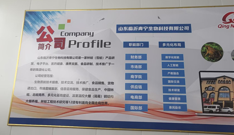 公司风采