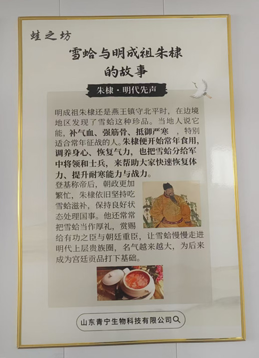 公司风采