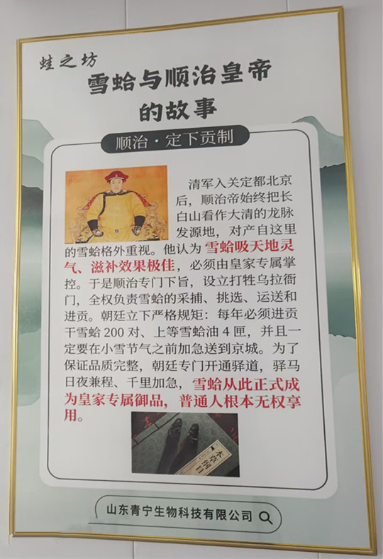 公司风采