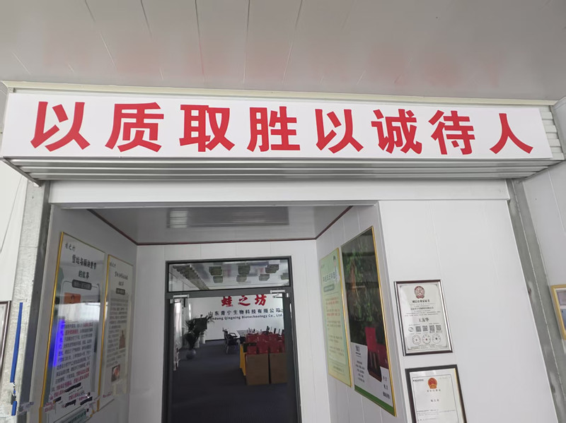 公司风采
