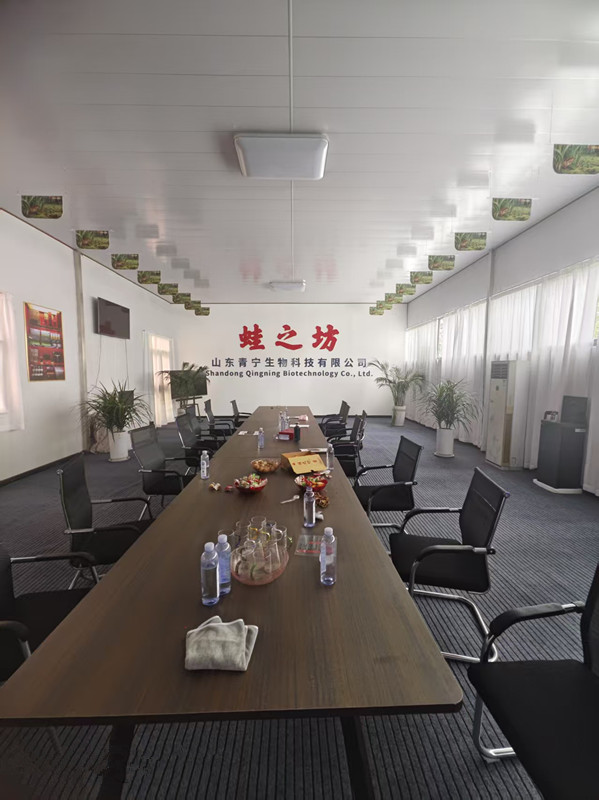 公司风采