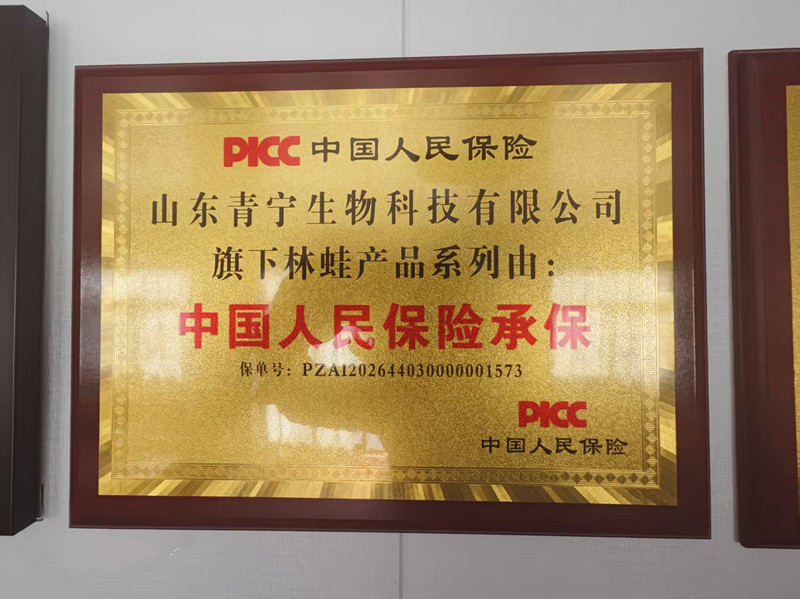 中国人民保险承保