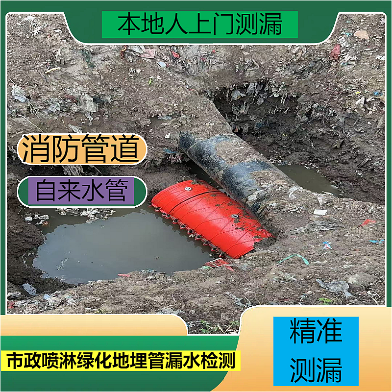 文章插图