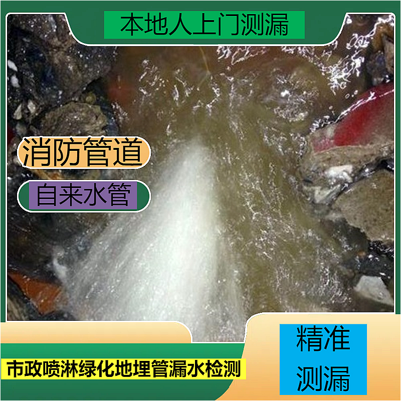 文章插图