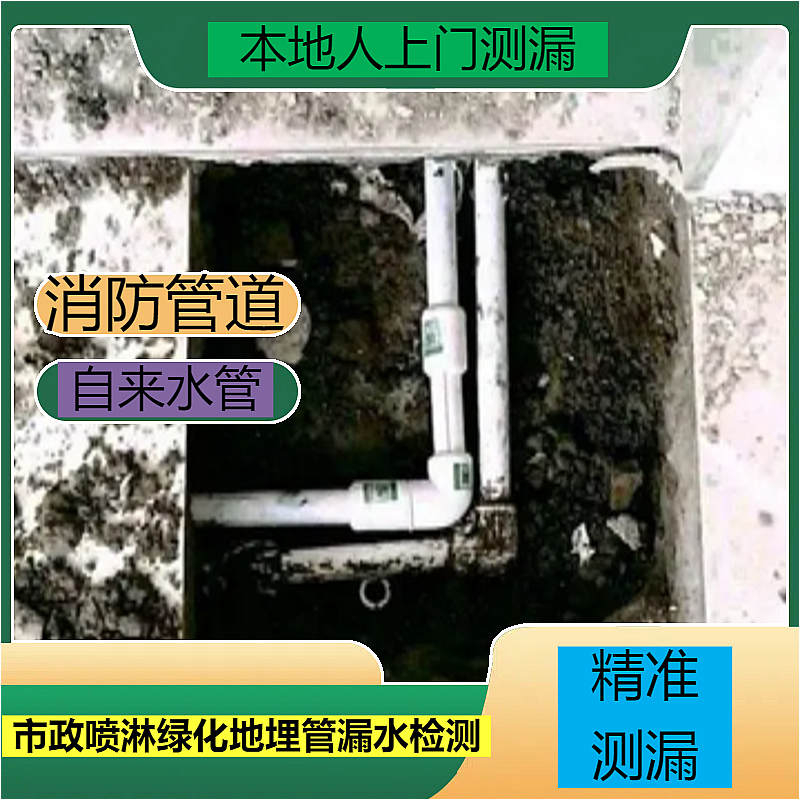 文章插图