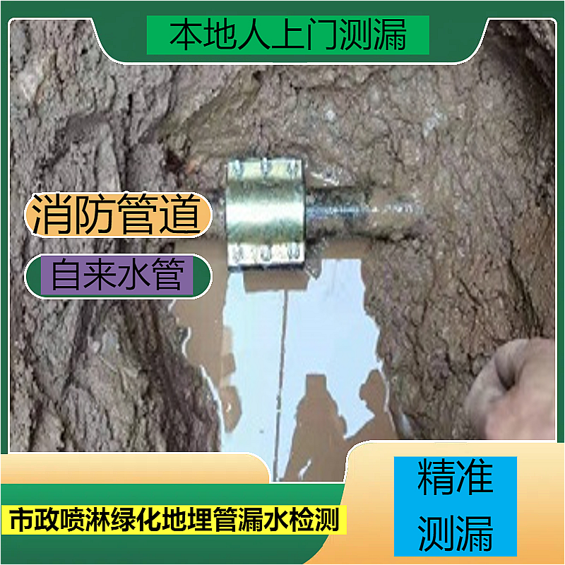 文章插图