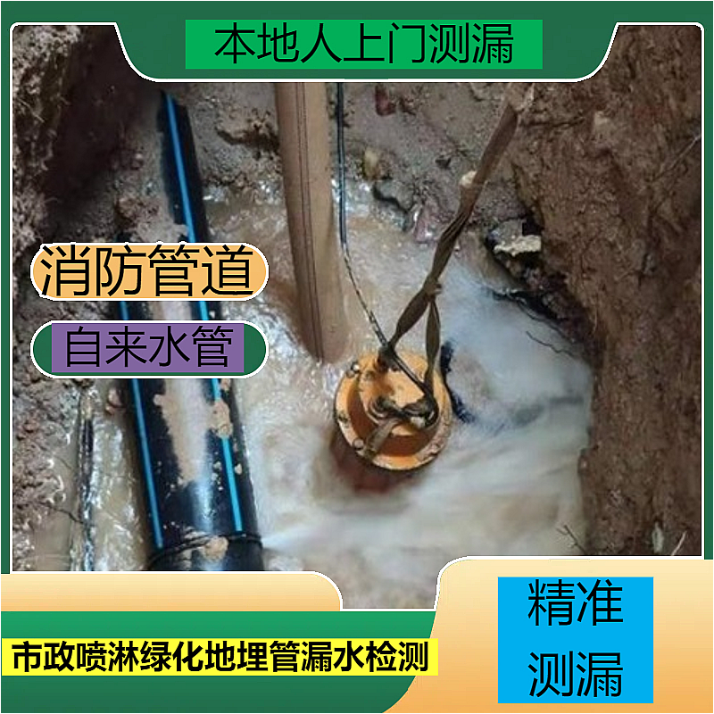 文章插图