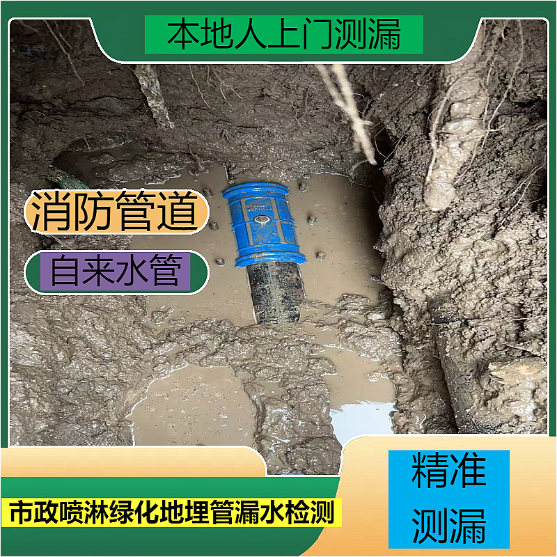 文章插图