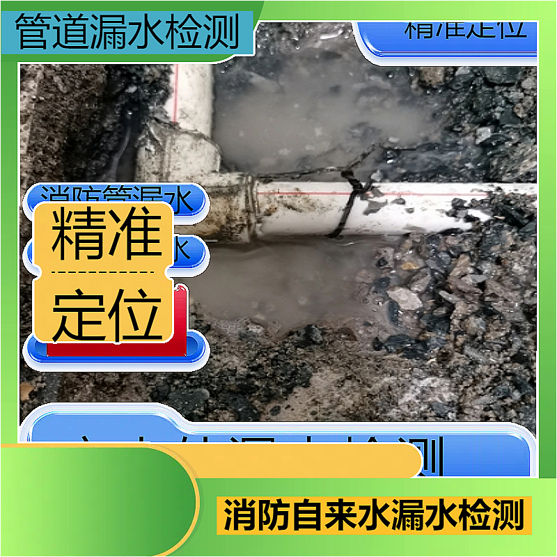 文章插图