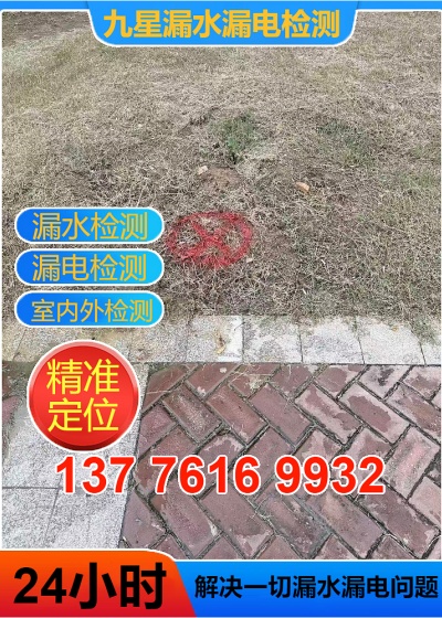 文章插图