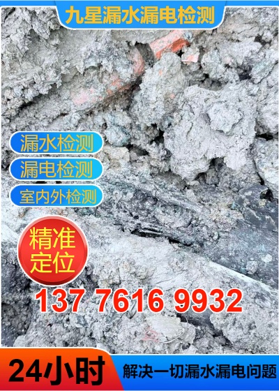 文章插图