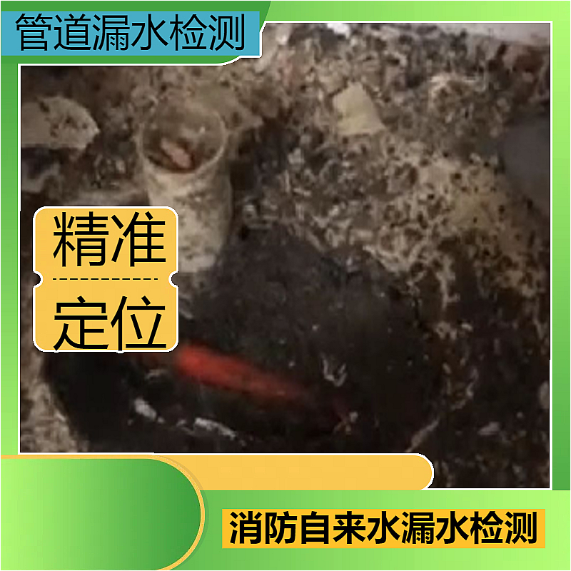 文章插图