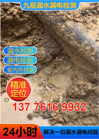 文章插图