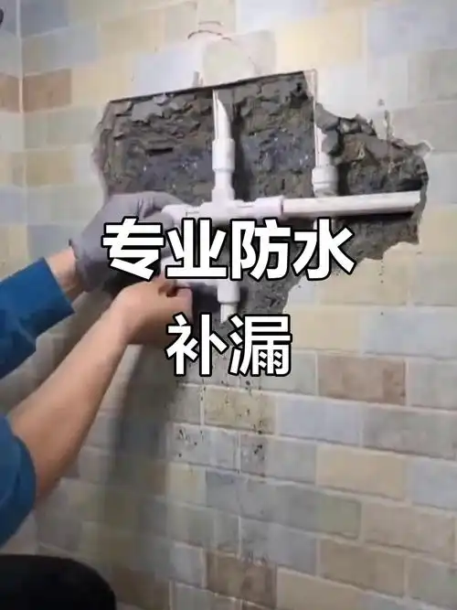 文章插图