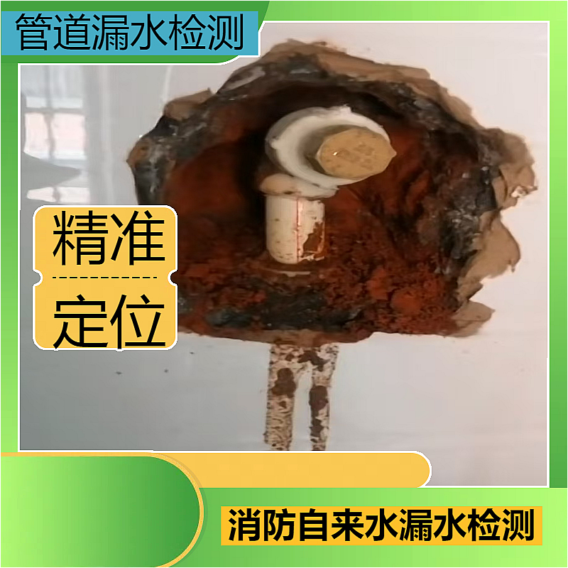 文章插图
