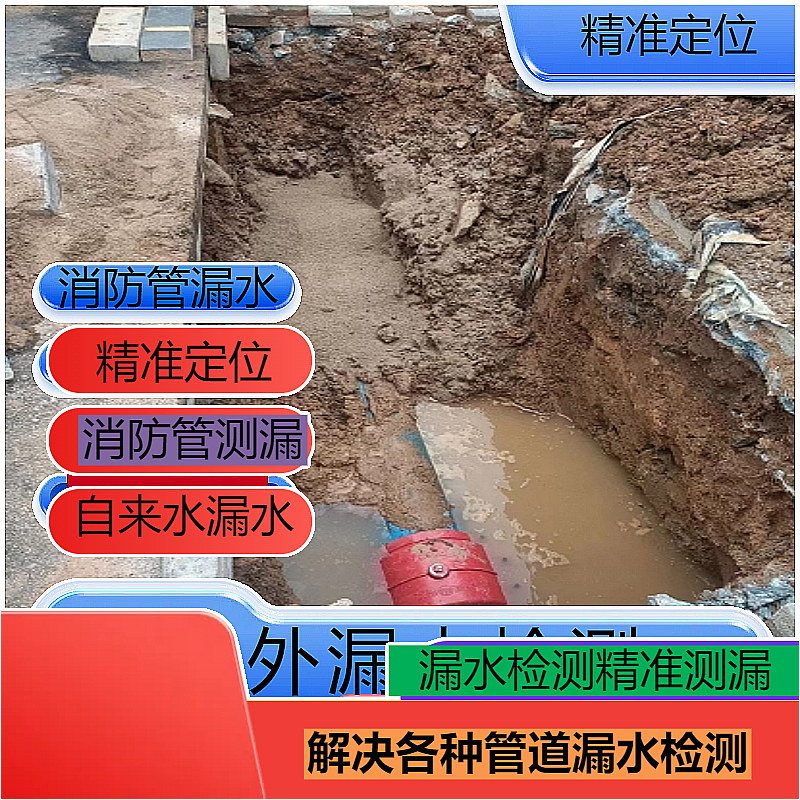 文章插图