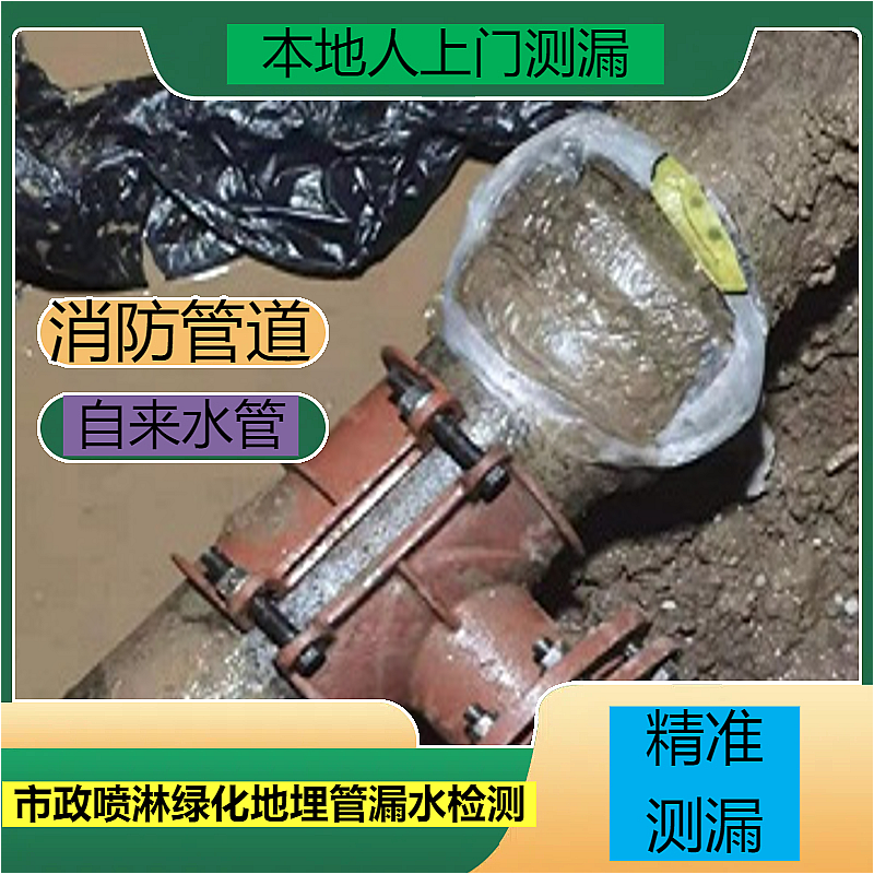 文章插图