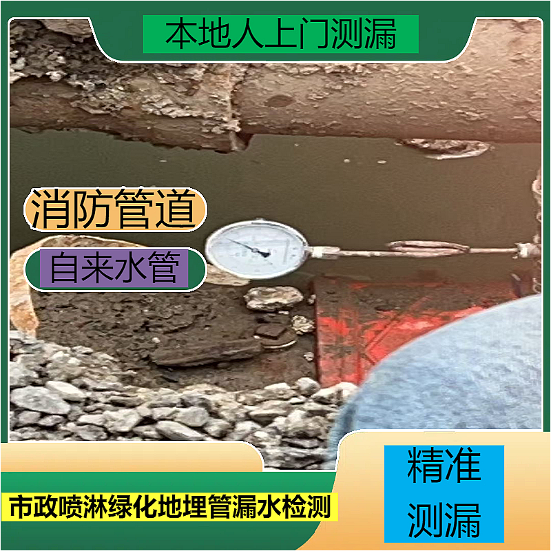 文章插图