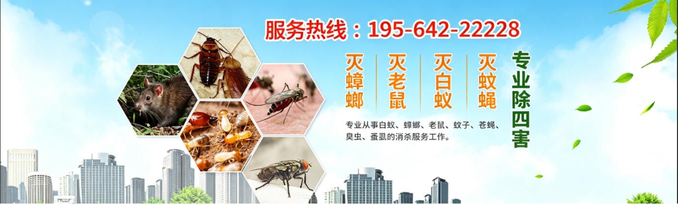 安吉郑师傅杀虫灭鼠公司