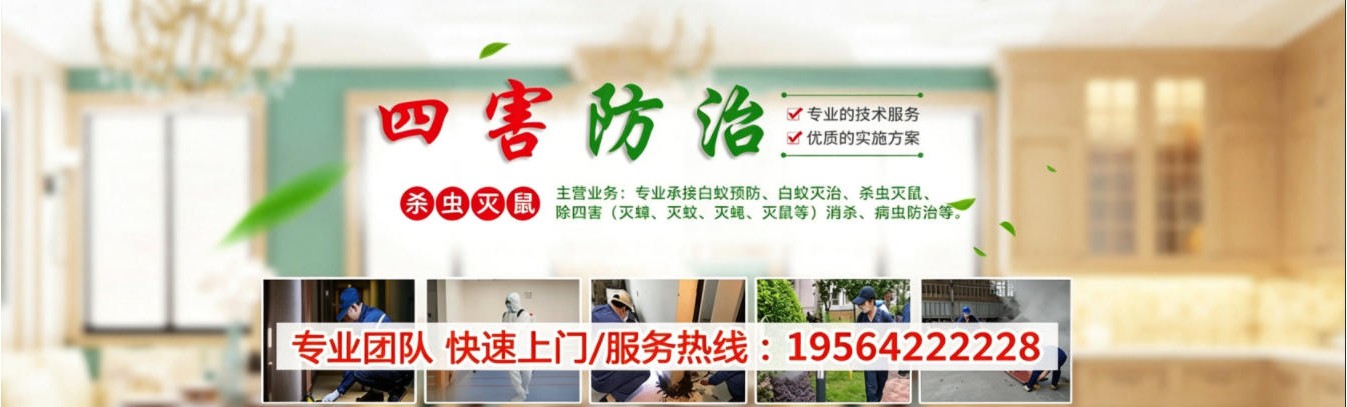 安吉郑师傅杀虫灭鼠公司