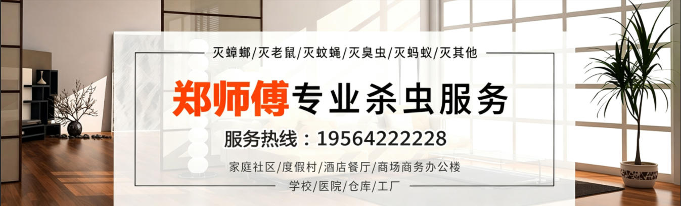 湖州南浔区郑师傅杀虫灭鼠公司 