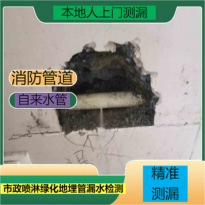 文章插图