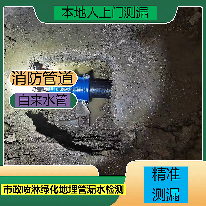 文章插图