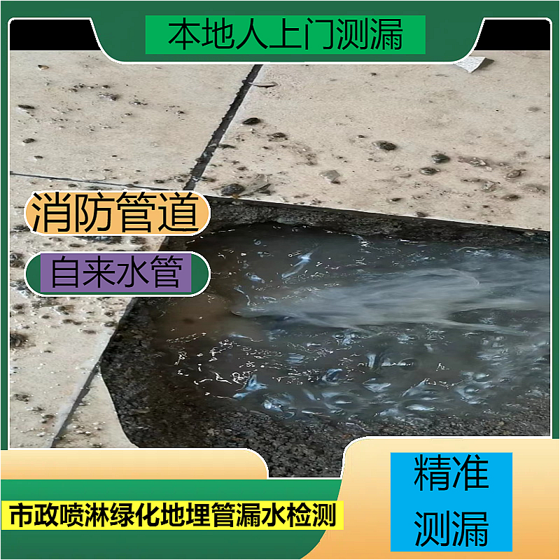 文章插图