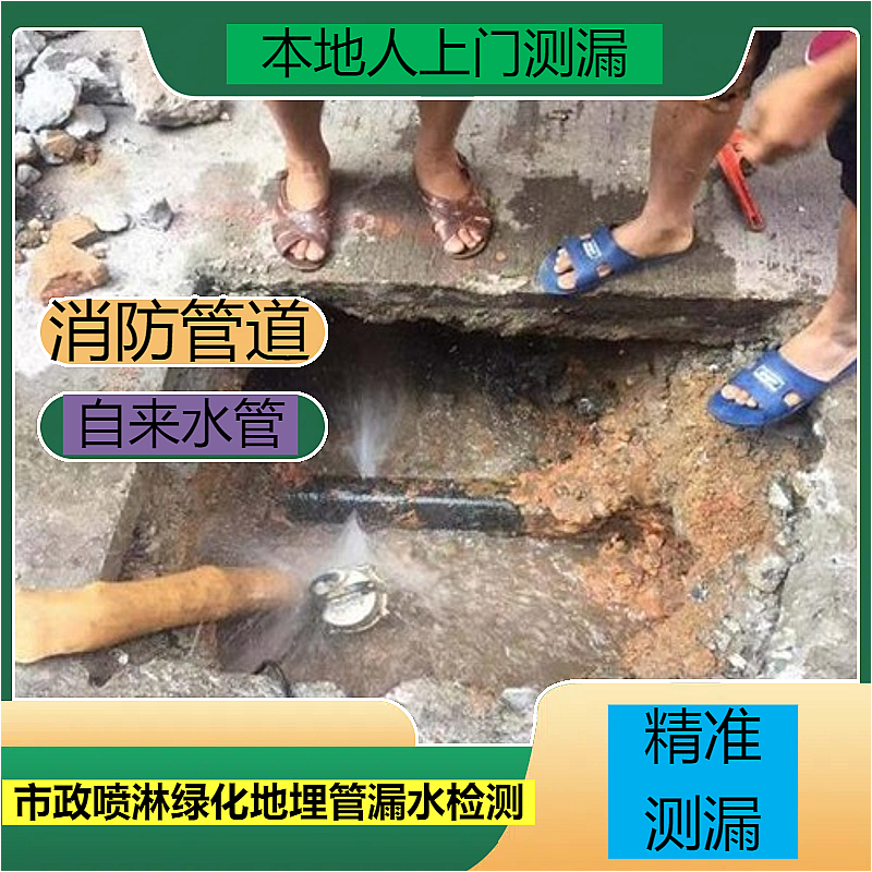 文章插图