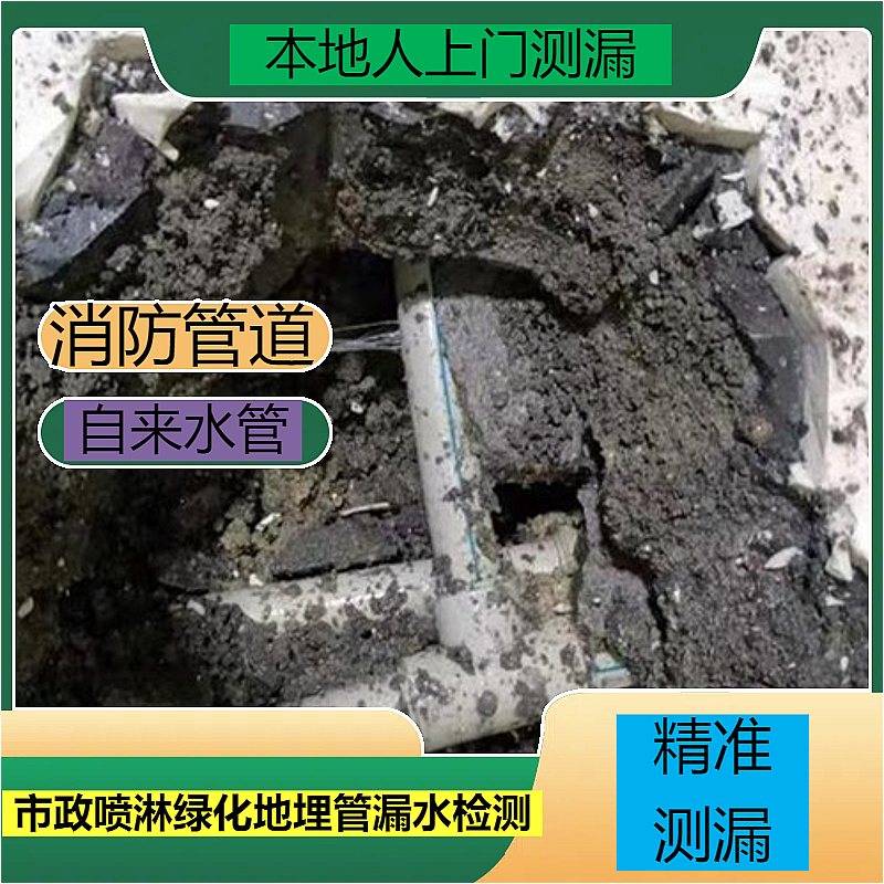 文章插图
