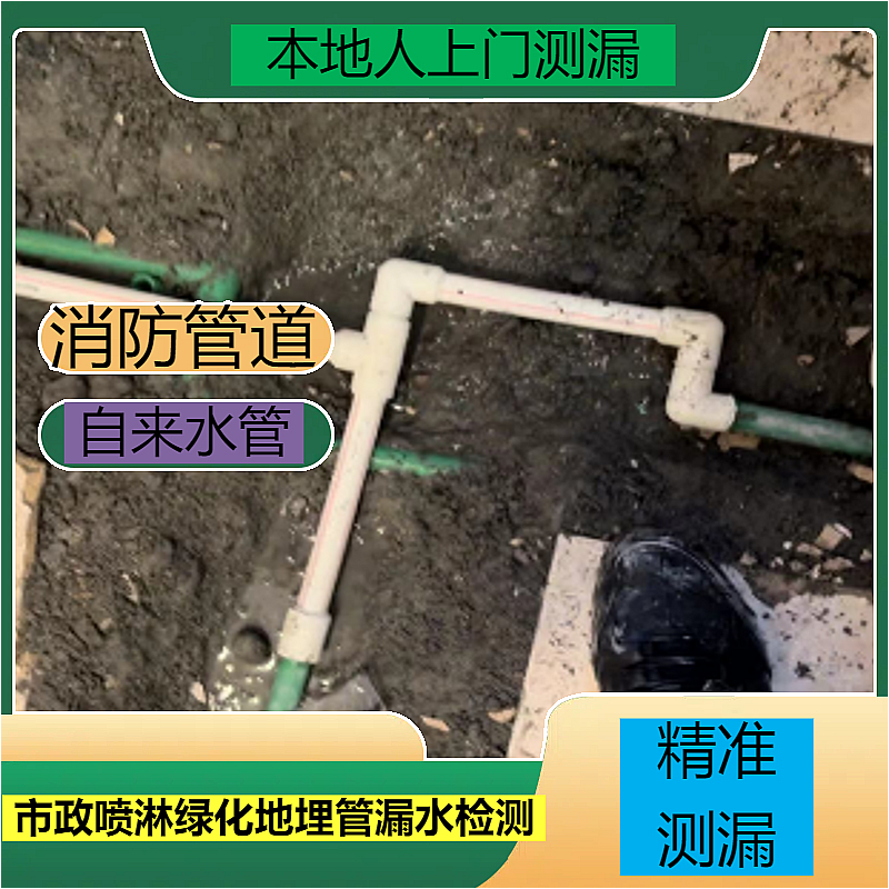文章插图