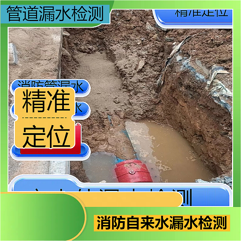 文章插图
